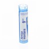 ARNICA MONTANA 9 CH BOIRON