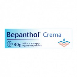 BEPANTHOL POMADA PROTEC 30 GR